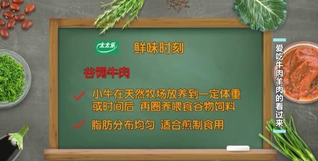 炒牛肉炖羊肉的正确方法(炖羊肉最正宗的炖牛肉做法)图4