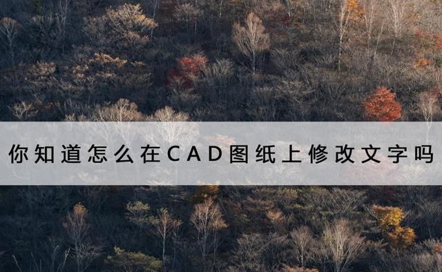 如何在cad图纸上修改文字及尺寸图1