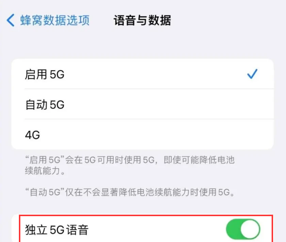 独立5g语音使用5g通话要不要打开图3