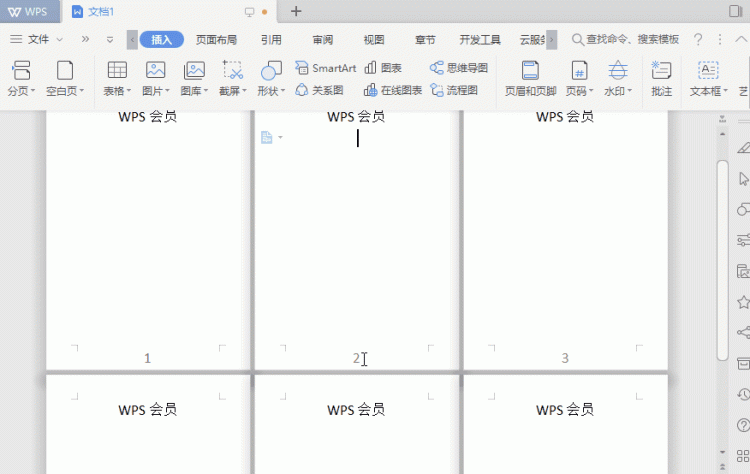 wps你需要掌握在页码技巧中吗图2