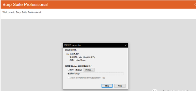 burpsuite 解析https数据图4