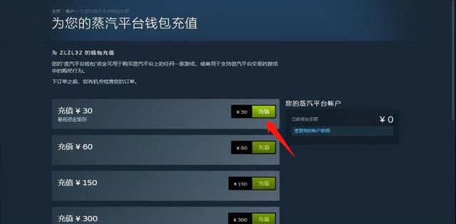 steam中国版蒸汽平台图16