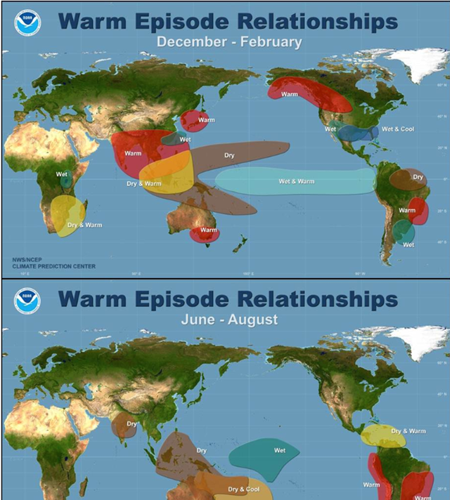 中国真白干了？全球1年砍伐森林超41000km²，27亿吨CO₂进入大气图3