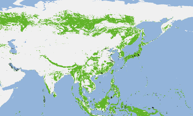 中国真白干了？全球1年砍伐森林超41000km²，27亿吨CO₂进入大气图11