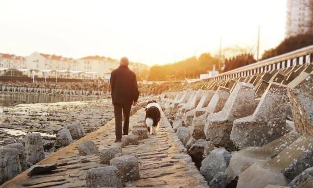 柴门闻犬吠,柴门闻犬吠风雪夜归人全诗图4