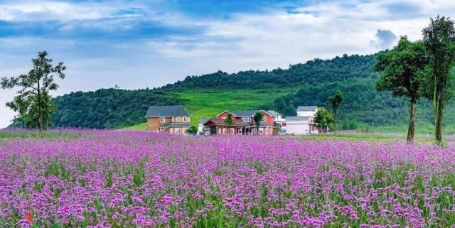 乌蒙山脉在贵州的什么方位(贵州乌蒙山有什么景点)图21