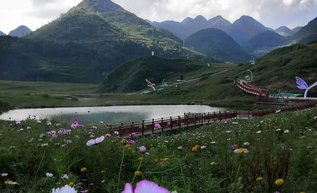 乌蒙山脉在贵州的什么方位(贵州乌蒙山有什么景点)图23