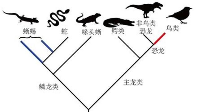 蛇能把青蛙吸到嘴里(蛇真的能吸住小动物吗)图3