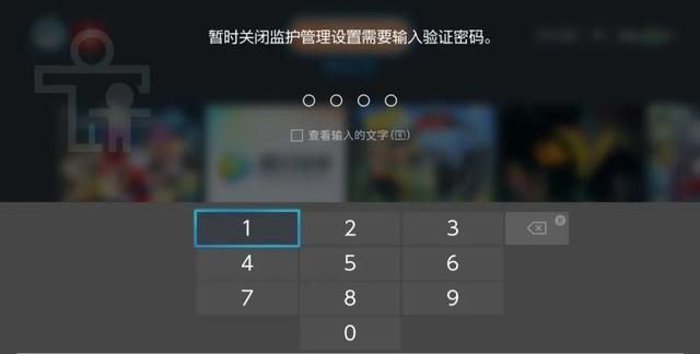 国行switch新手入门教程图15