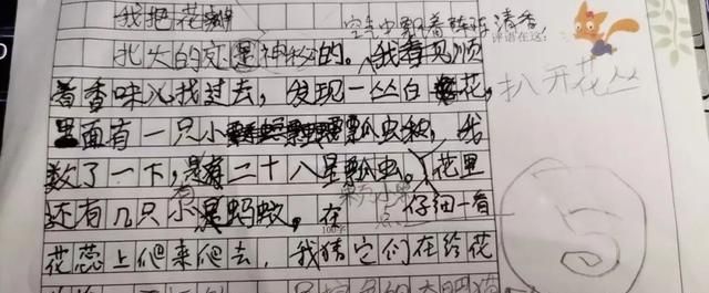 一个海淀小学生的晚间学习计划,海淀小学生每日学习计划图36