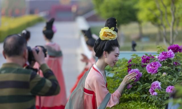 洛阳每年的牡丹文化节,都会吸引大量游客前来观光旅游图2