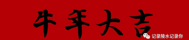 陵水人拜年用槟榔吗,陵水人槟榔习俗图1