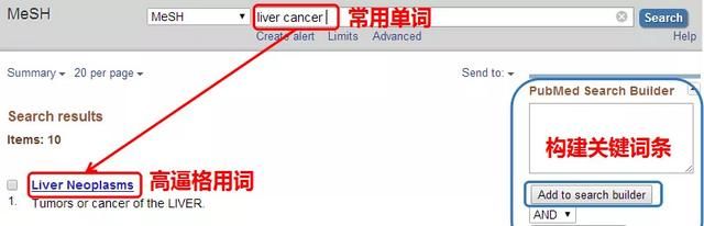 新版pubmed使用教程图4