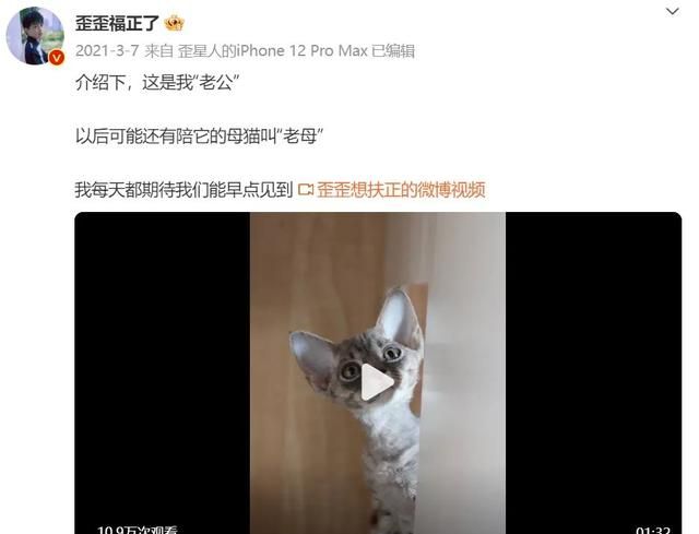 最会给猫起名字的铲屎官(给猫取什么名字适合公猫)图7