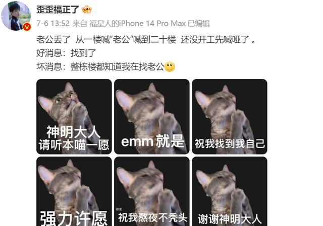 最会给猫起名字的铲屎官(给猫取什么名字适合公猫)图12