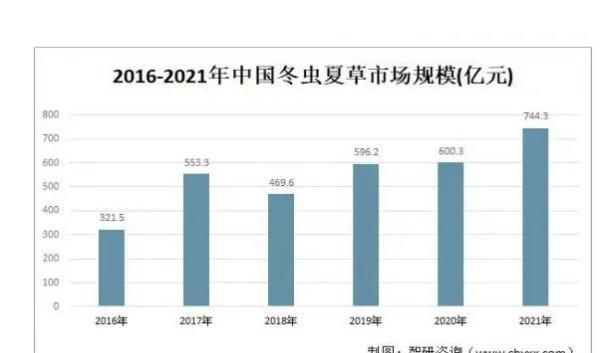 人工种植的冬虫夏草是什么样子的图6