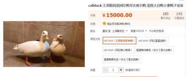 王思聪花30000元买的宠物鸭图8