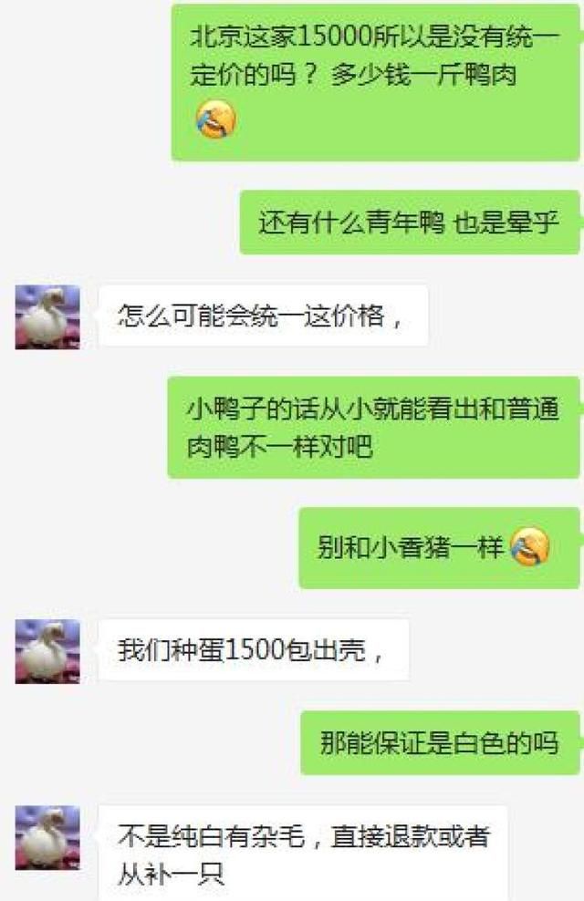 王思聪花30000元买的宠物鸭图13