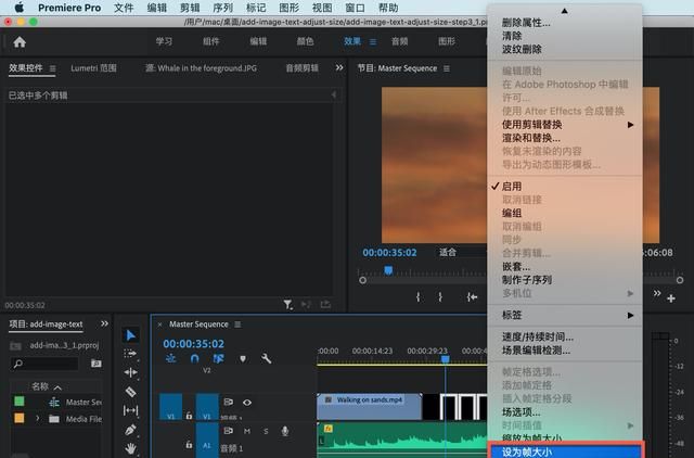 pr剪辑教程怎么调整大小图21