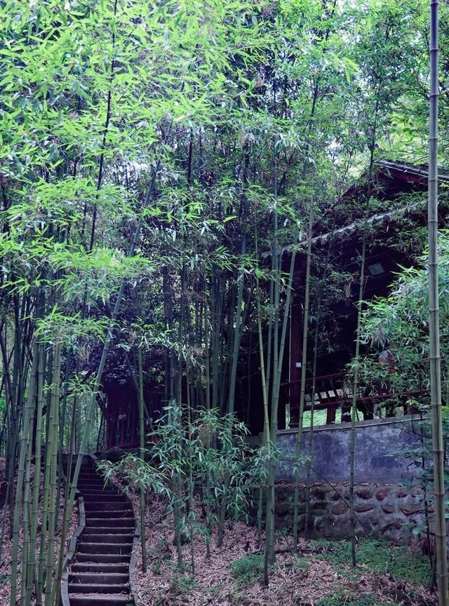 走，水灵妹带你去郊游！都江堰8大好去处，遛娃带宠两不误，国庆假期余额不足，赶紧安排～图46