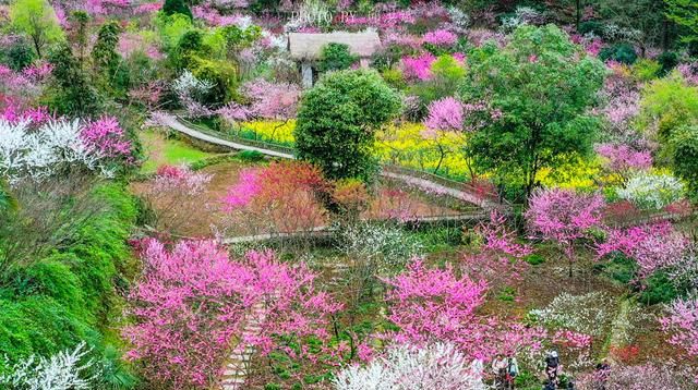 酉阳桃花源陶渊明笔下的世外桃源图3