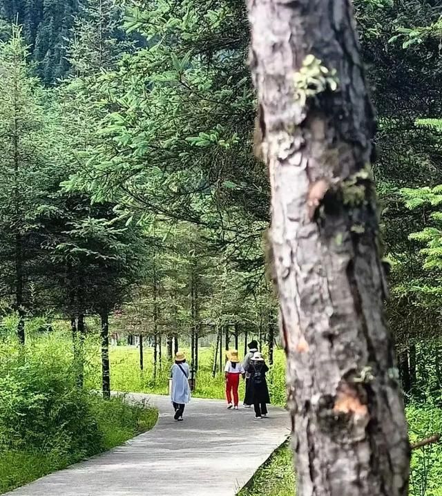 过瘾！切换“夏日清凉运动模式”，在理县High玩一夏→图15