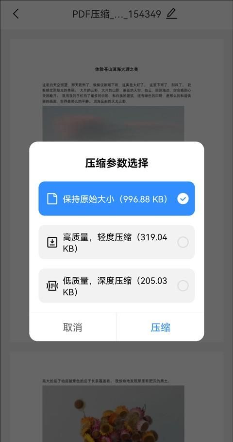 手机上可以压缩pdf文件吗图3