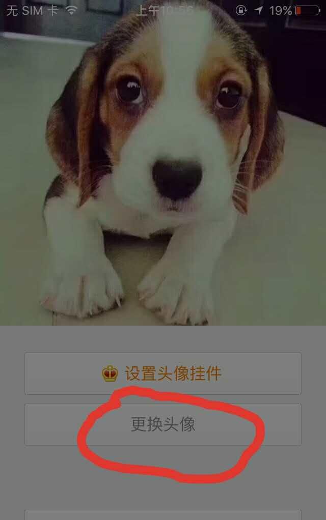 现在微博还能看访客记录么图11