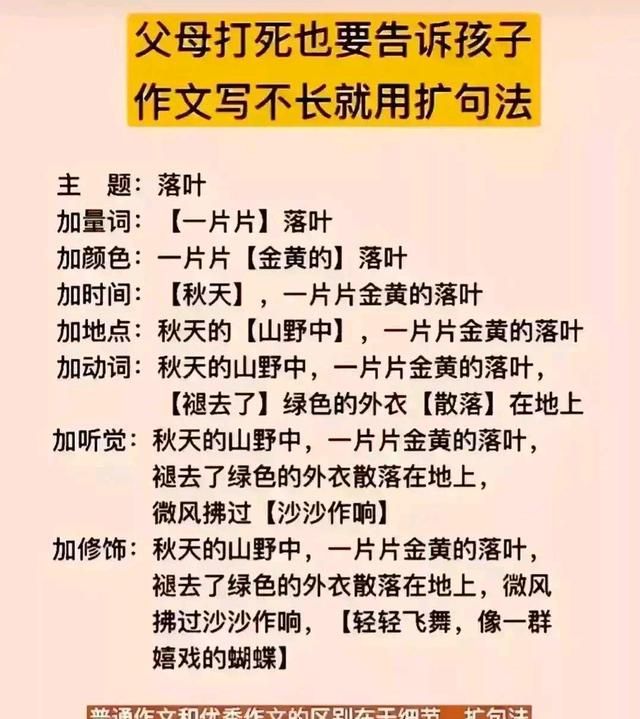 小学生假期如何提高作文水平(小学生作文高分十大技巧)图5