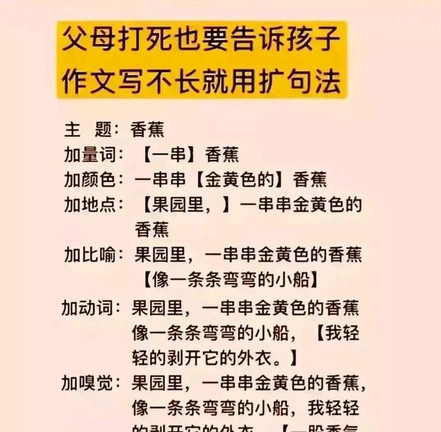 小学生假期如何提高作文水平(小学生作文高分十大技巧)图6