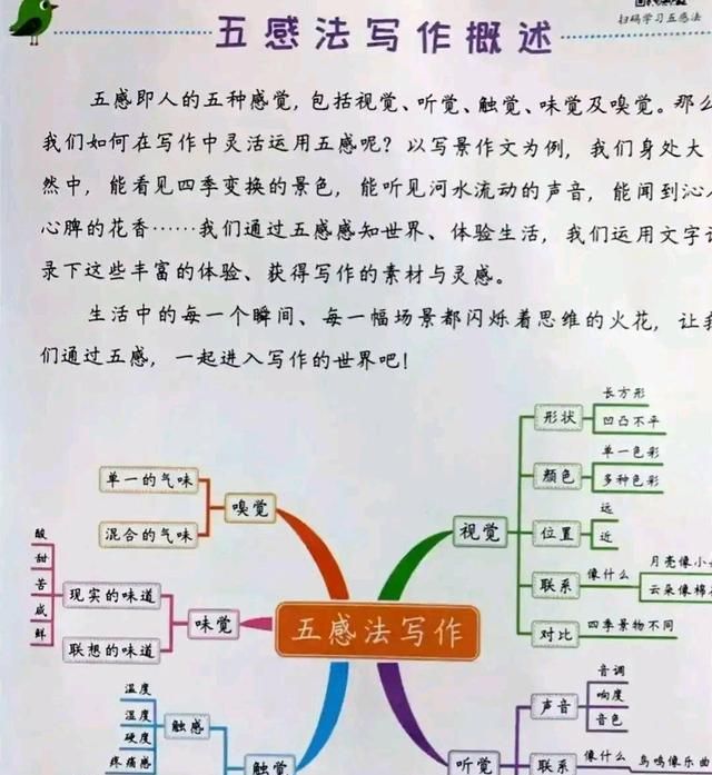 小学生假期如何提高作文水平(小学生作文高分十大技巧)图12