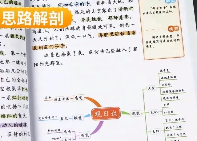 小学生假期如何提高作文水平(小学生作文高分十大技巧)图13