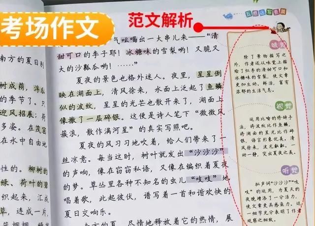 小学生假期如何提高作文水平(小学生作文高分十大技巧)图14