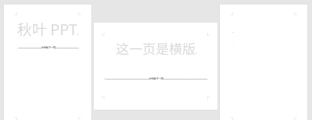 如何在竖向word文档插入横向表格图9