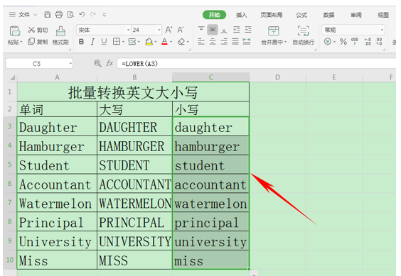 wps表格批量英文大小写转换,wps表格将英文小写转换成大写图6