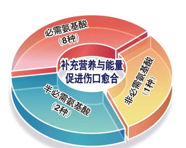 氨基酸和必需氨基酸区别图2