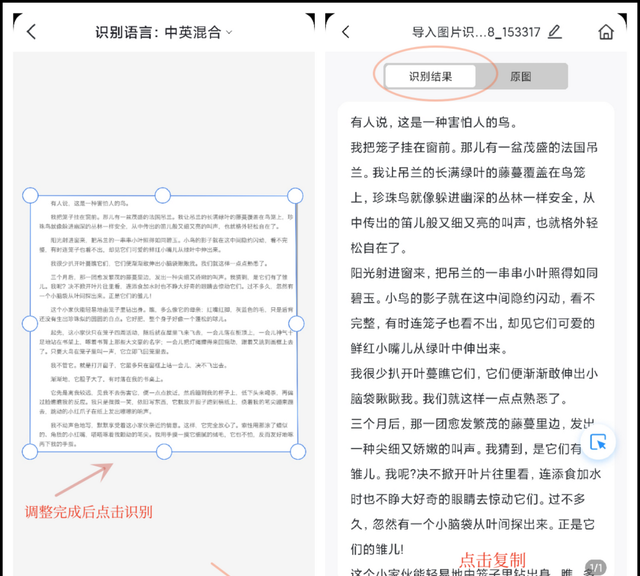 手机怎么识别图片文字的字数,手机上怎样识别图片上的文字图4