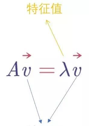 特征值和特征向量的含义,特征值与特征向量知识点总结图16
