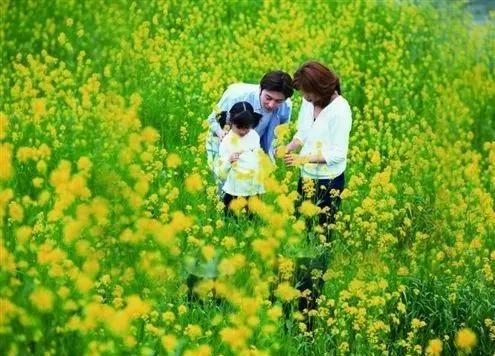 淅川移民清明返乡祭祖,清明假期第二天返乡祭祖图7