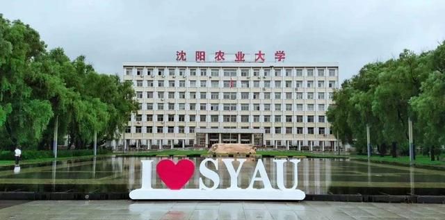 中央为沈阳迁来6所大学，在校生超50万人，来自抚顺大连锦州长春图4