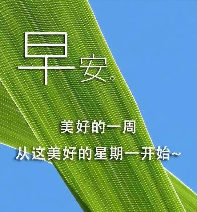 早上好开心快乐健康是最好的幸福图5