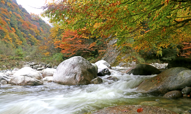 广元市青川县旅游示范区图1