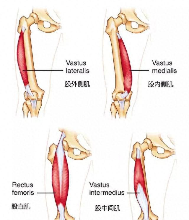 瑜伽什么体式可以拉伸大腿前侧图3