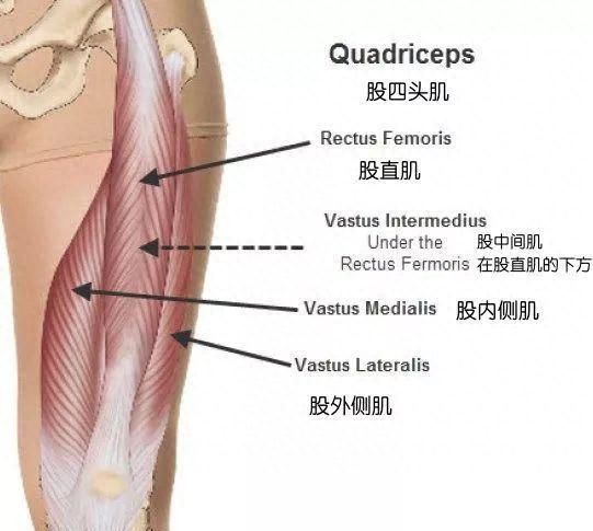 瑜伽什么体式可以拉伸大腿前侧图4