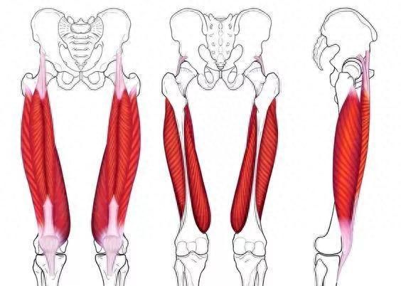 瑜伽什么体式可以拉伸大腿前侧图5