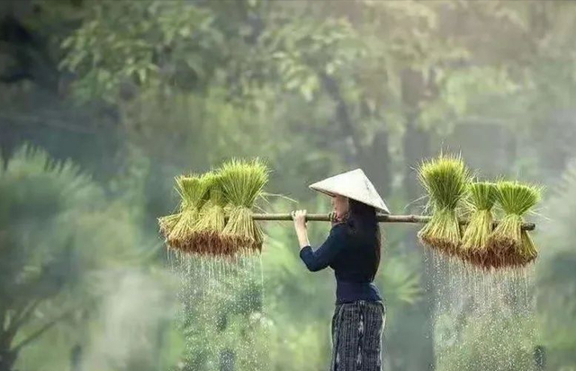 在别人的世界里孤芳自赏独善其身图1