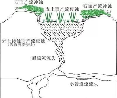 水土流失的后果有哪些(排水不良的地种什么水果)图2