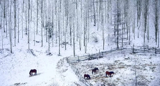 曾家山冰雪节旅游攻略图27