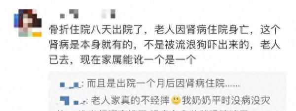 流浪狗伤人法院判投喂者承担责任图10