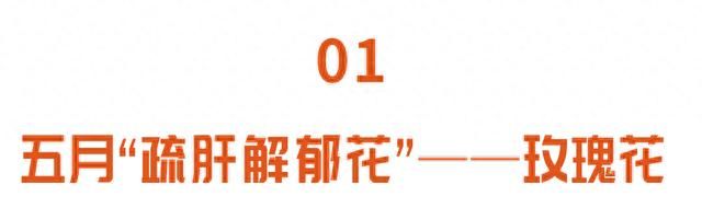 经常叹气容易生病！五月应季花，人人可泡，心情舒畅，远离疾病图1